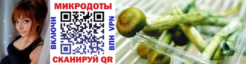 Галлюциногенные грибы Psilocybe  нарко площадка Telegram  Отрадная  OMG ONION 